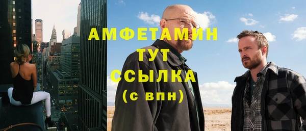 индика Елабуга