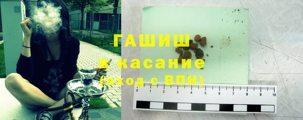 индика Елабуга