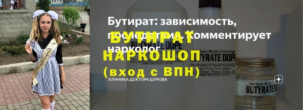 индика Елабуга
