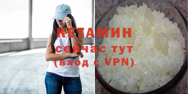 индика Елабуга