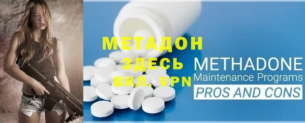 индика Елабуга