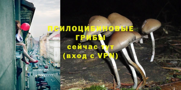 индика Елабуга