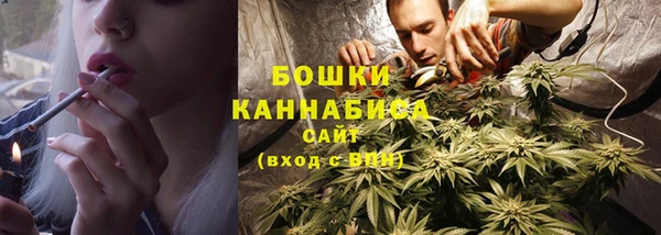 индика Елабуга