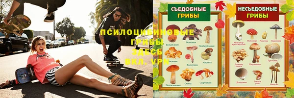 индика Елабуга