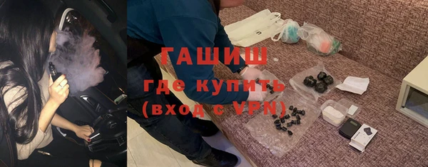 индика Елабуга
