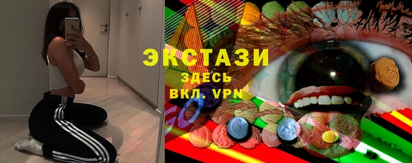 индика Елабуга