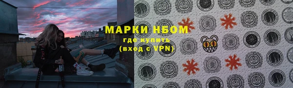 индика Елабуга